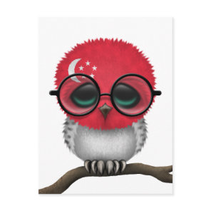 Customizable Nerdy Singapore Baby Owl Chic Postcard
