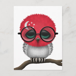Customizable Nerdy Singapore Baby Owl Chic Postcard