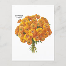 Customizable October Marigold Birthday Gift