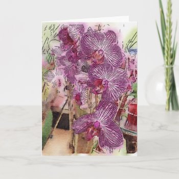 Customizable Orchids Greeting Card by SnapDaddy at Zazzle