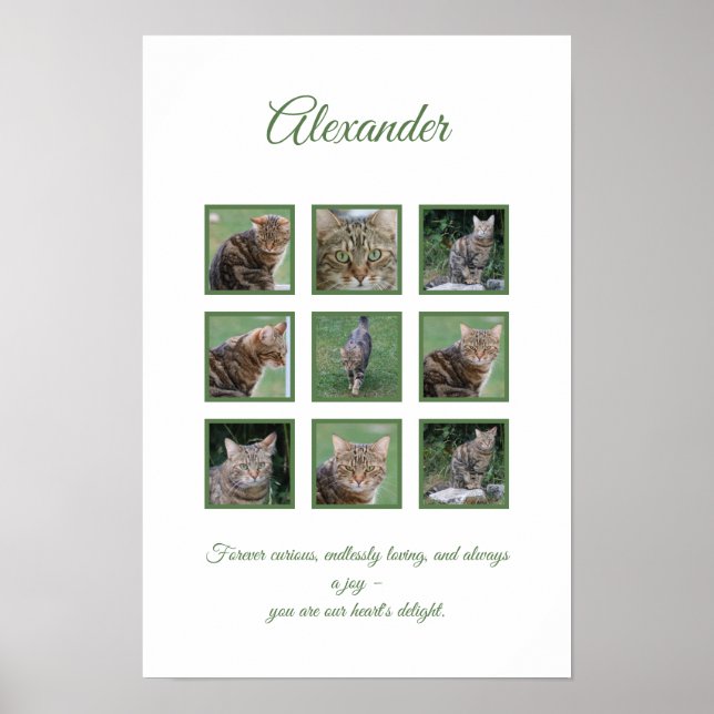 Customizable Pet Celebration Poster (Front)