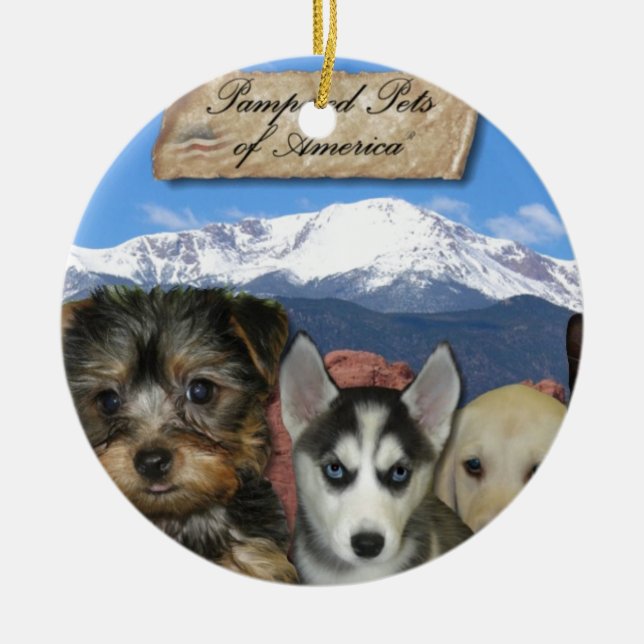 Customizable Pet Ceramic Ornament (Front)
