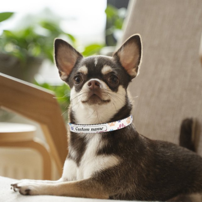 Customizable pet collar with name, Customized dog  (Creator Uploaded)