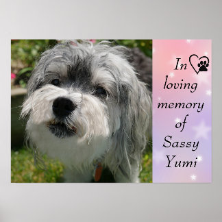 Customizable Pet Loss Print: Preserve Memories wi Holder