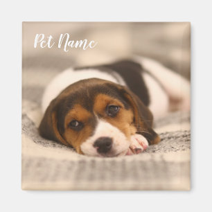 Customizable Pet Magnet with Photo and Name