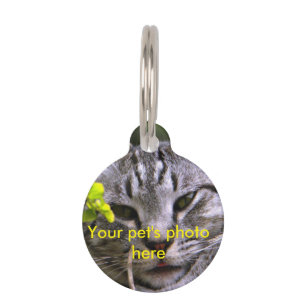 Customizable Pet Photo Tag