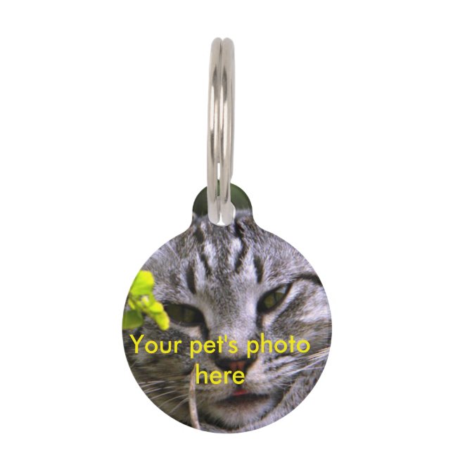 Customizable Pet Photo Tag (Front)