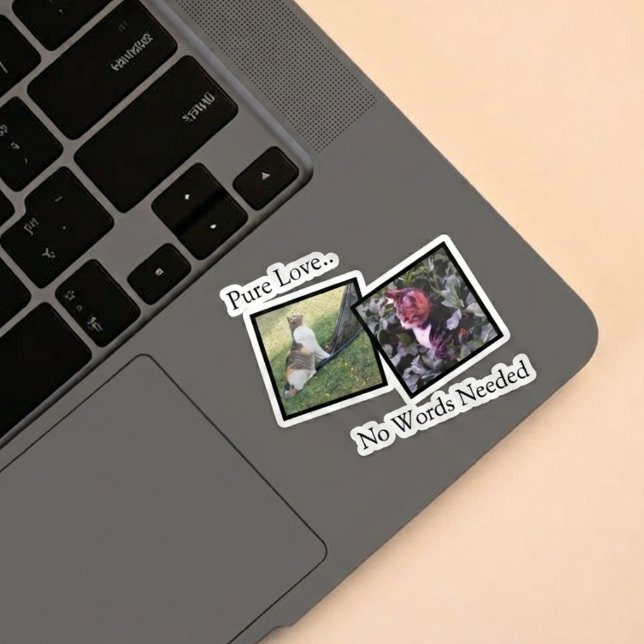 Customizable Pet Photo vinyl Sticker (Fully customizable vinyl sticker with photos for pet lovers)