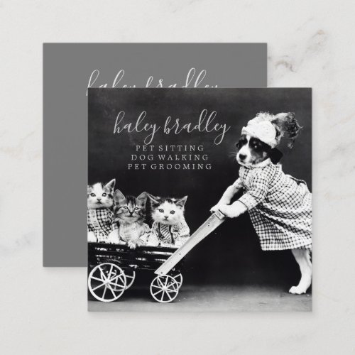 Customizable Pet Sitting Grooming Business Card 