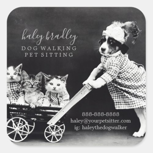 Customizable Pet Sitting Grooming Services Square Sticker