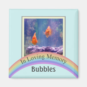 Customizable Photo Pet Memorial (Aqua) Magnet