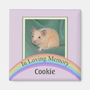 Customizable Photo Pet Memorial (Mauve) Magnet