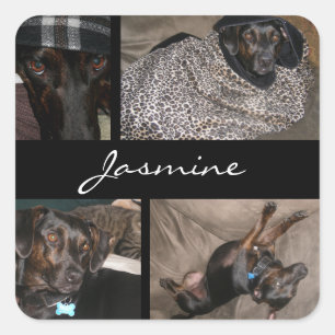 Customizable Photos Collage Monogram Dog Lover Square Sticker