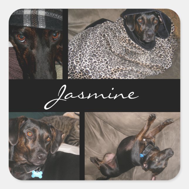 Customizable Photos Collage Monogram Dog Lover Square Sticker (Front)