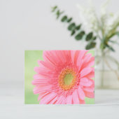 Customizable Pink Gerber Daisy (Standing Front)