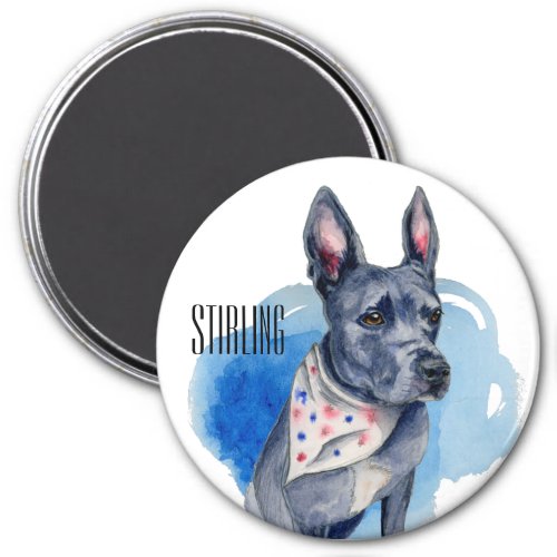 Customizable Pit Bull Dog Blue Watercolor Magnet