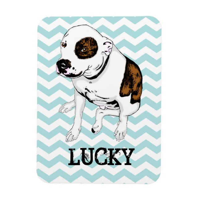 Customizable Pit Bull Teal Chevron Fridge Magnet (Vertical)