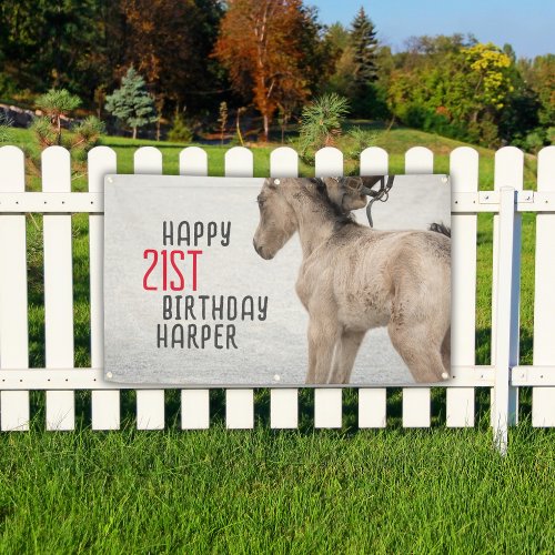 Customizable Pony Themed Happy Birthday Banner