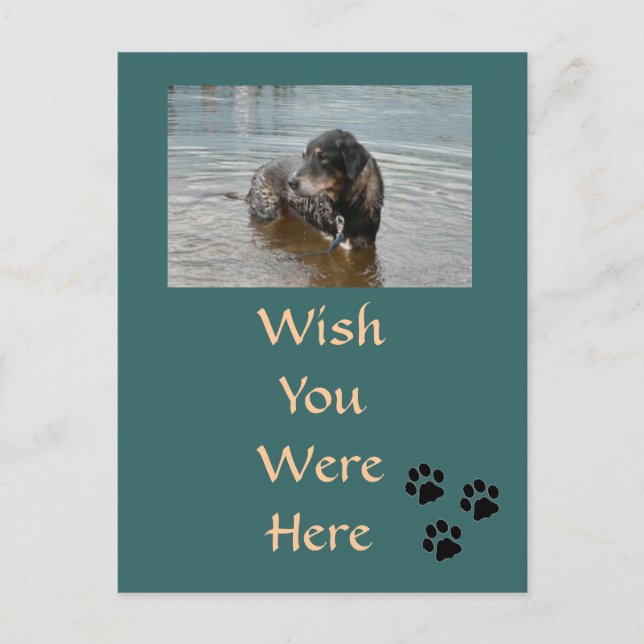 Customizable Postcard (Front)