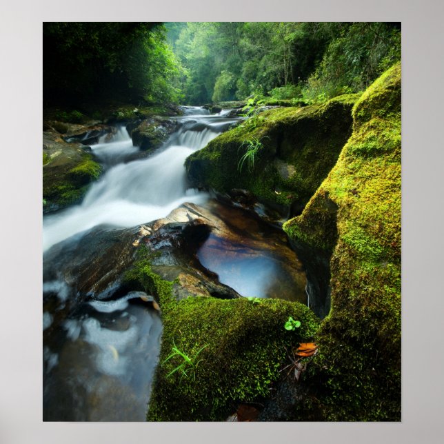Customizable Poster: Chattooga River Waterfall Poster (Front)