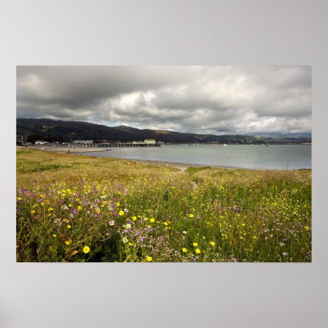 Customizable Poster: Half Moon Bay in Spring Poster (Front)