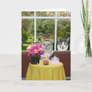 Customizable Pretty Cat Female Photobomb Birthday Card
