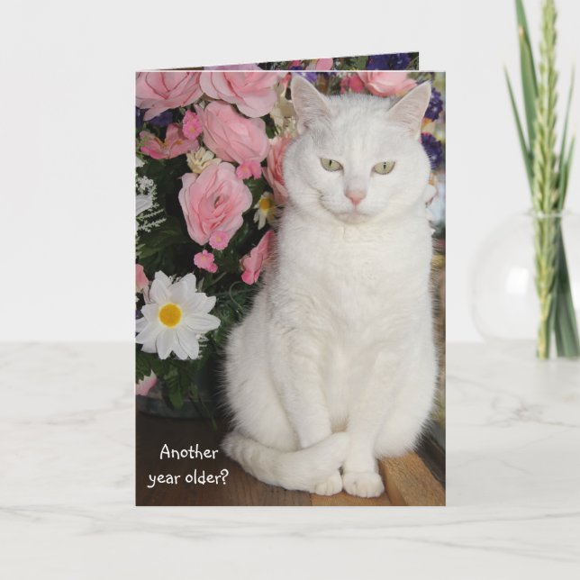 Customizable Pretty Cat Feminine Birthday Card (Front)