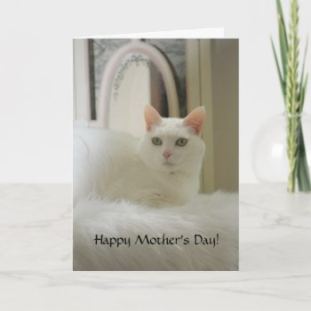 Customizable Pretty Cat Mother's Day Card by myrtieshuman at Zazzle