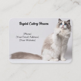 Customizable Ragdoll Cattery Business Card