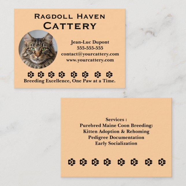 Customizable Ragdoll Cattery Business Card (Front/Back)