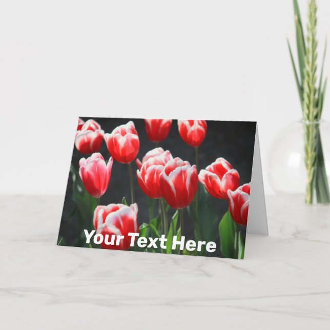 Customizable red and white tulips card (Front)