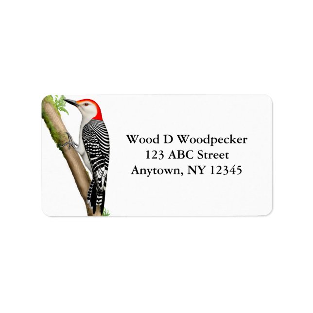 Customizable Red Bellied Woodpecker Label (Front)