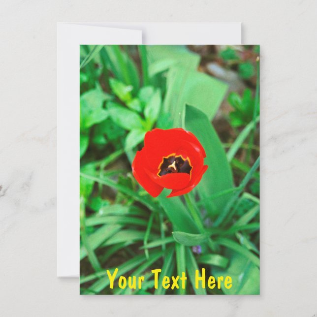 Customizable red tulip card (Front)