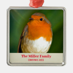 Customizable Robin Red Breast Metal Ornament