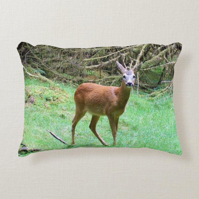 Customizable Roe Deer Buck Posing Accent Pillow (Front)