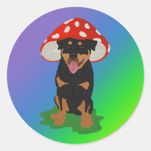 Customizable Rottweiler Mushroom Spring Classic Round Sticker