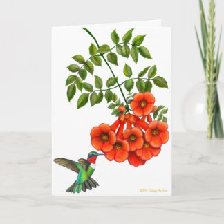 Customizable Ruby Throated Hummingbird on Trumpet Card