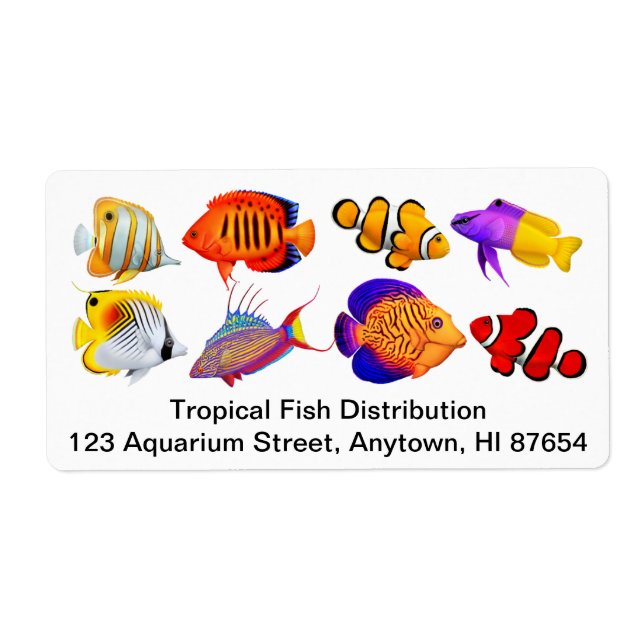 Customizable Saltwater Marine Aquarium Fish Label (Front)