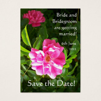 Customizable Save the Date Card, Bright Pink Roses
