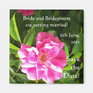 Customizable 'Save the Date' Magnet, Pink Roses Magnet