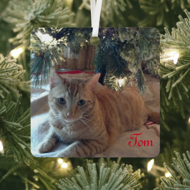 Customizable Simple Modern Pet Photo Red Name Metal Ornament (Insitu)