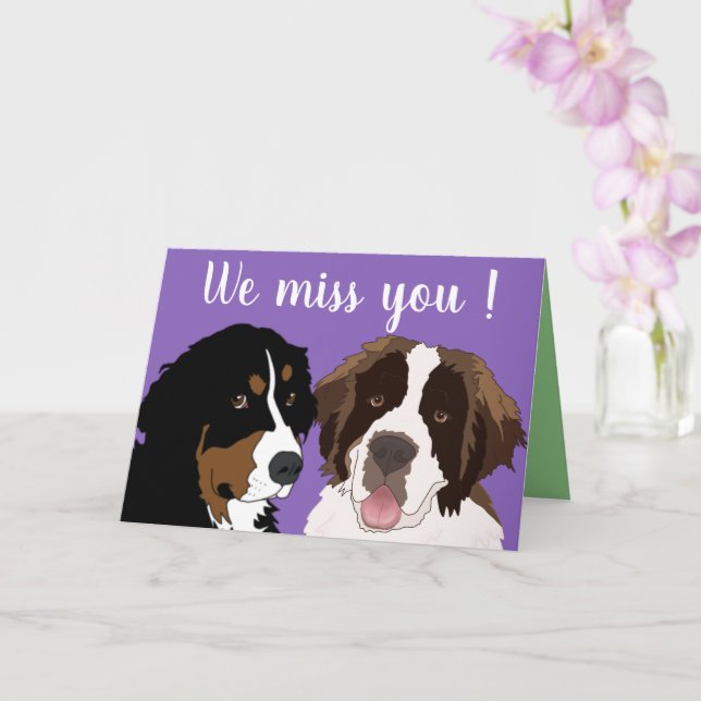 Customizable St Bernard and Bernese Mountain Dog C Card (Orchid)