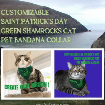 Customizable St. Patrick's Day Green Shamrocks Cat