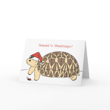 Customizable Star Tortoise Christmas Card