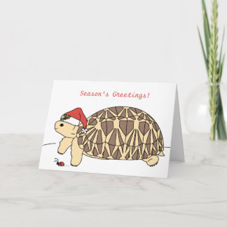 Customizable Star Tortoise Christmas Card