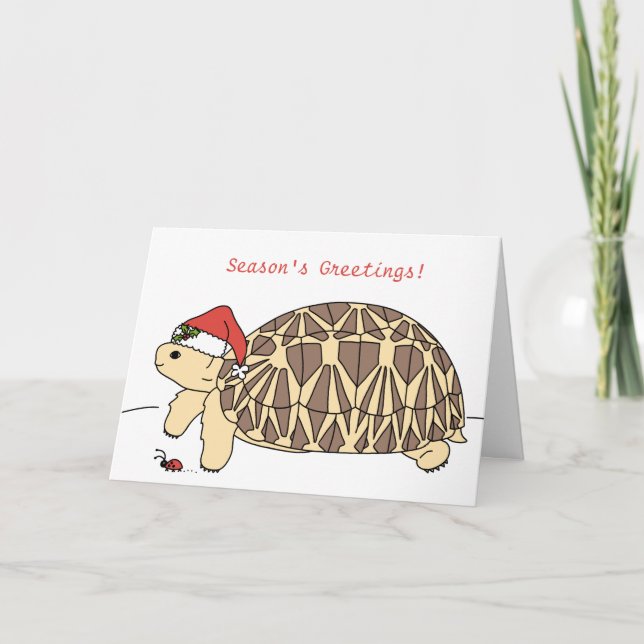 Customizable Star Tortoise Christmas Card (Front)
