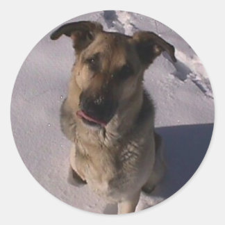 Customizable Sticker