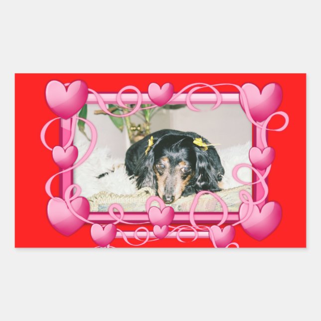 CUSTOMIZABLE STICKERS - ADD YOUR OWN PHOTOS  GIFTS (Front)