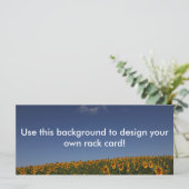 Customizable Sunflower field (Standing Front)