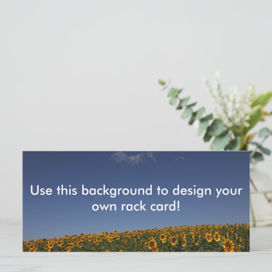 Customizable Sunflower field (Standing Front)